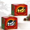 Cordão de Luz Solar Garden Crystal Globe Discove – 30 LEDs (Série N01)